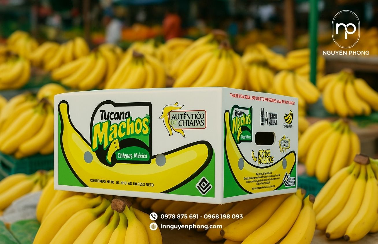 Mẫu thùng carton đựng chuối chịu lực tốt